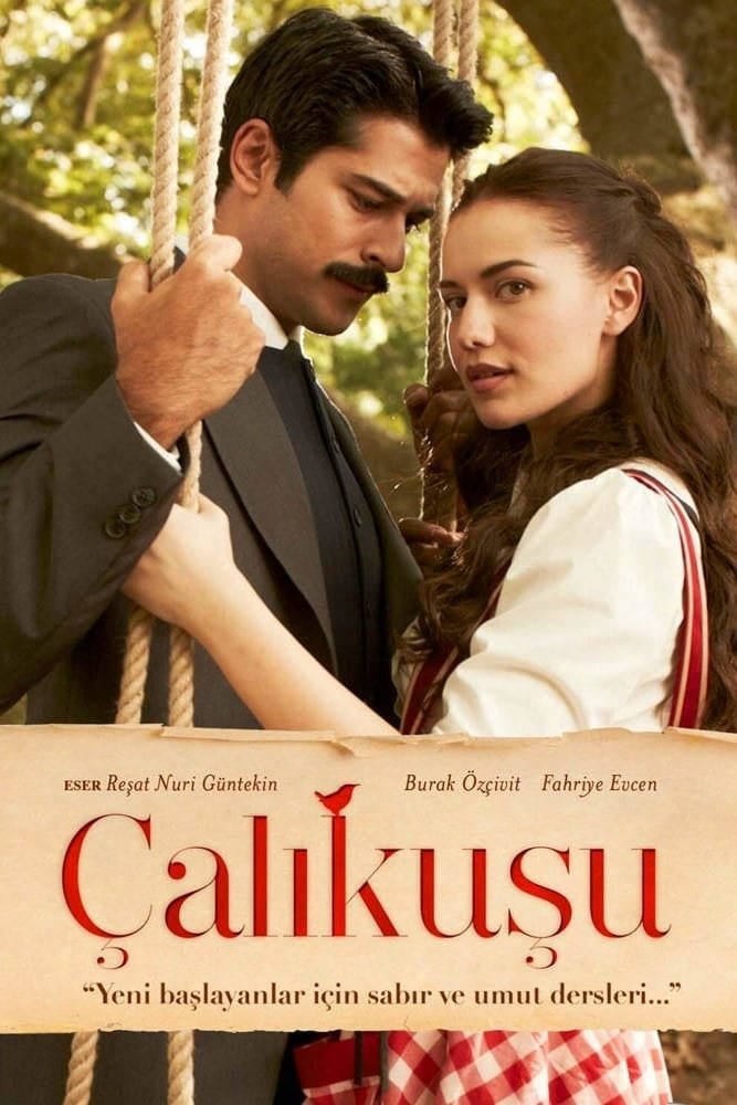 Çalıkuşu - Cover