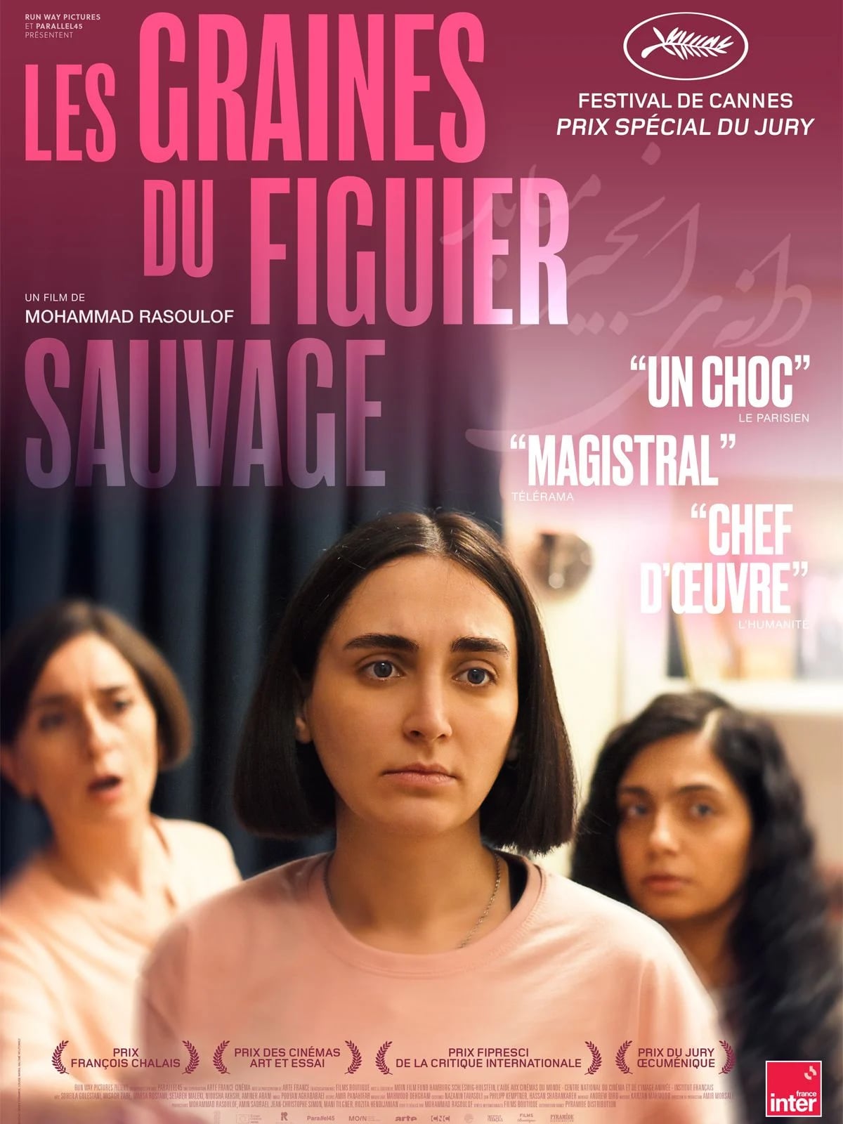 Les Graines du figuier sauvage - Cover
