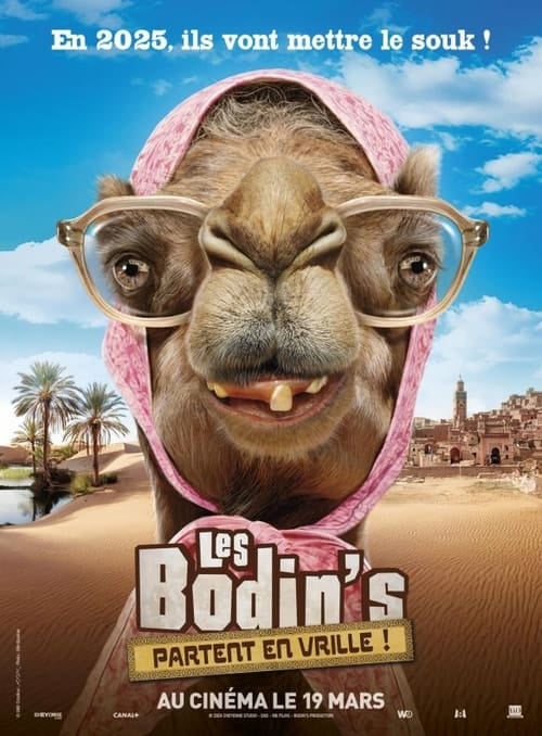 Les Bodin’s partent en vrille - Cover