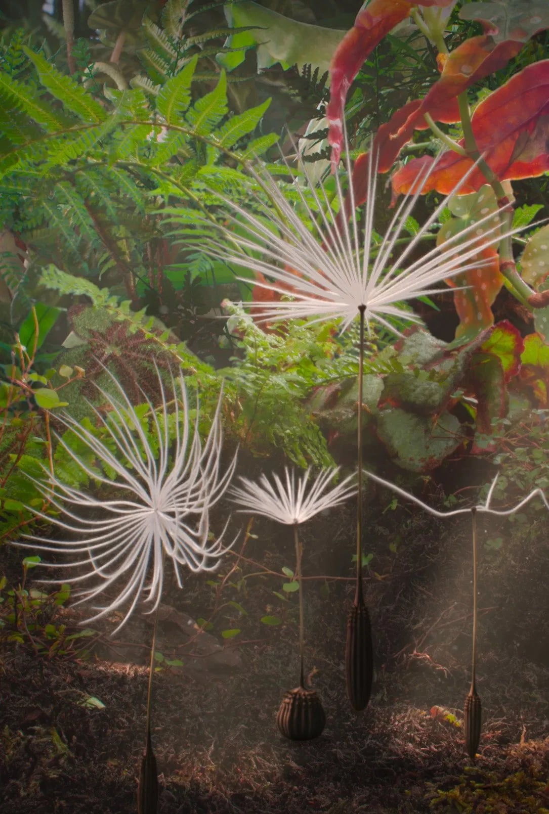 Dandelion's Odyssey - Cover