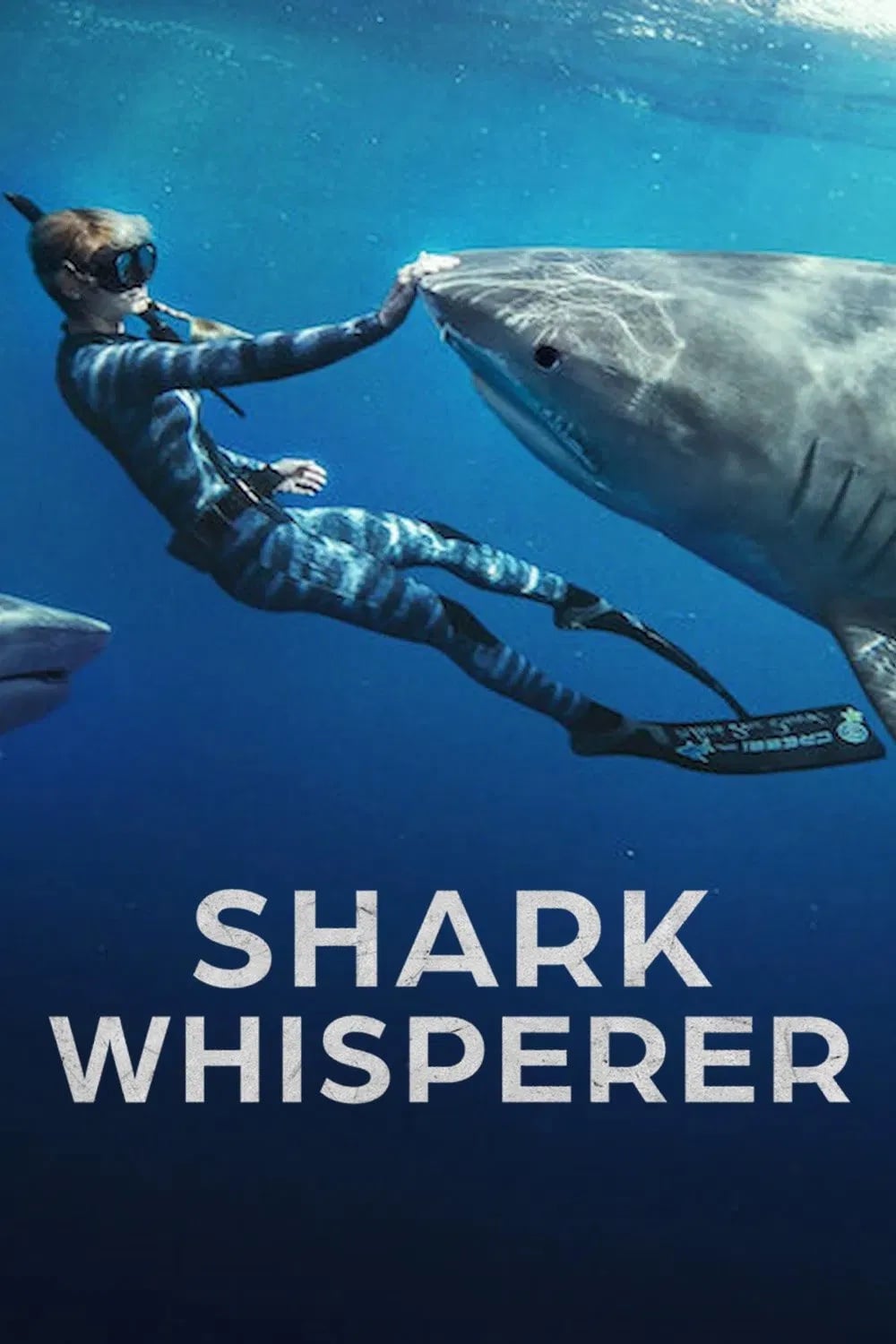Shark Whisperer - Cover