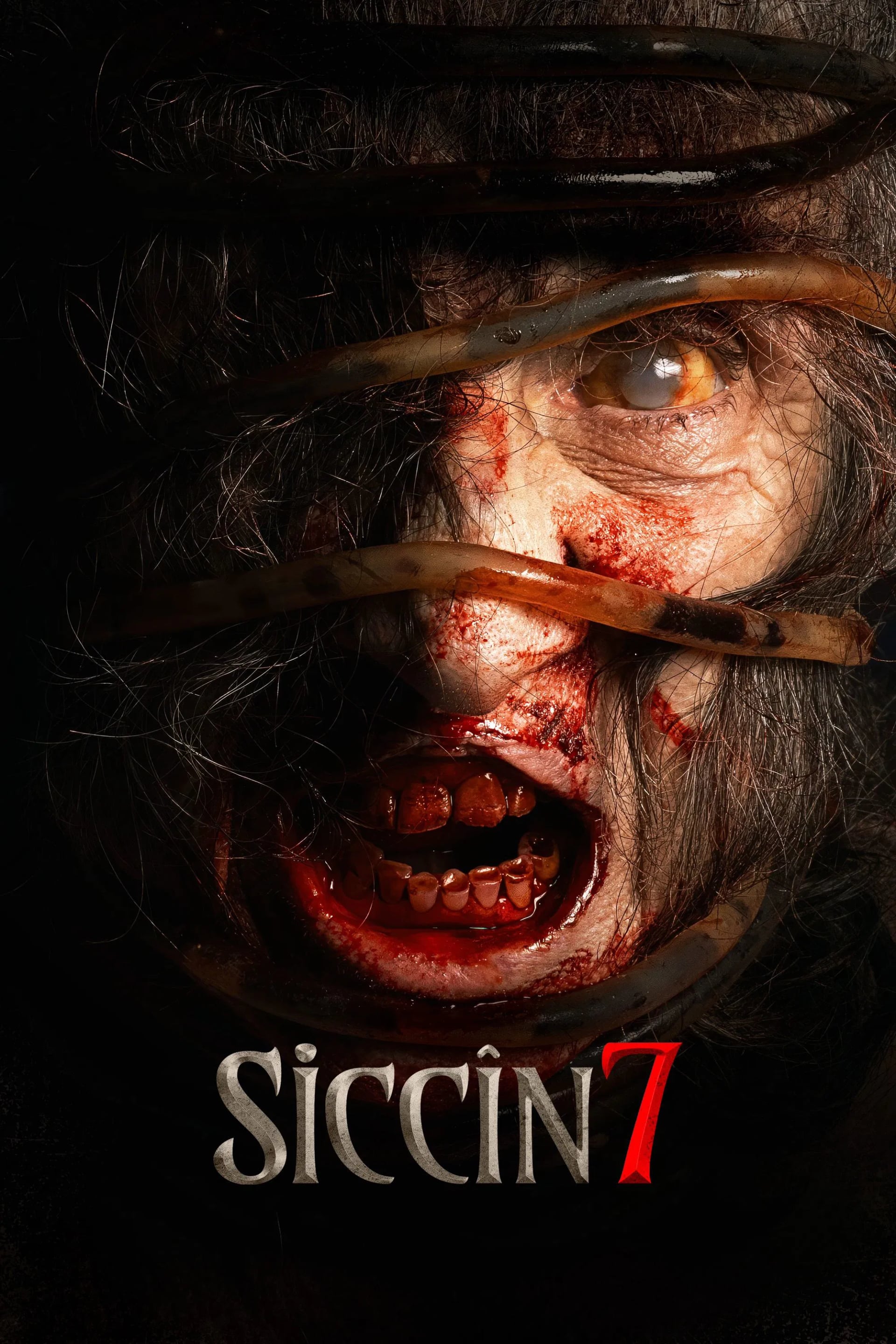 Siccin 7 - Cover