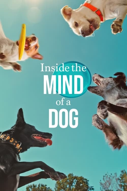 Inside the Mind of a Dog - Cover