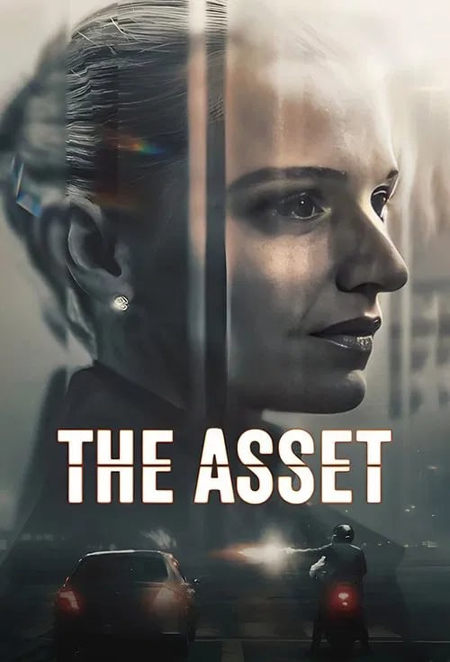 The Asset - Cover