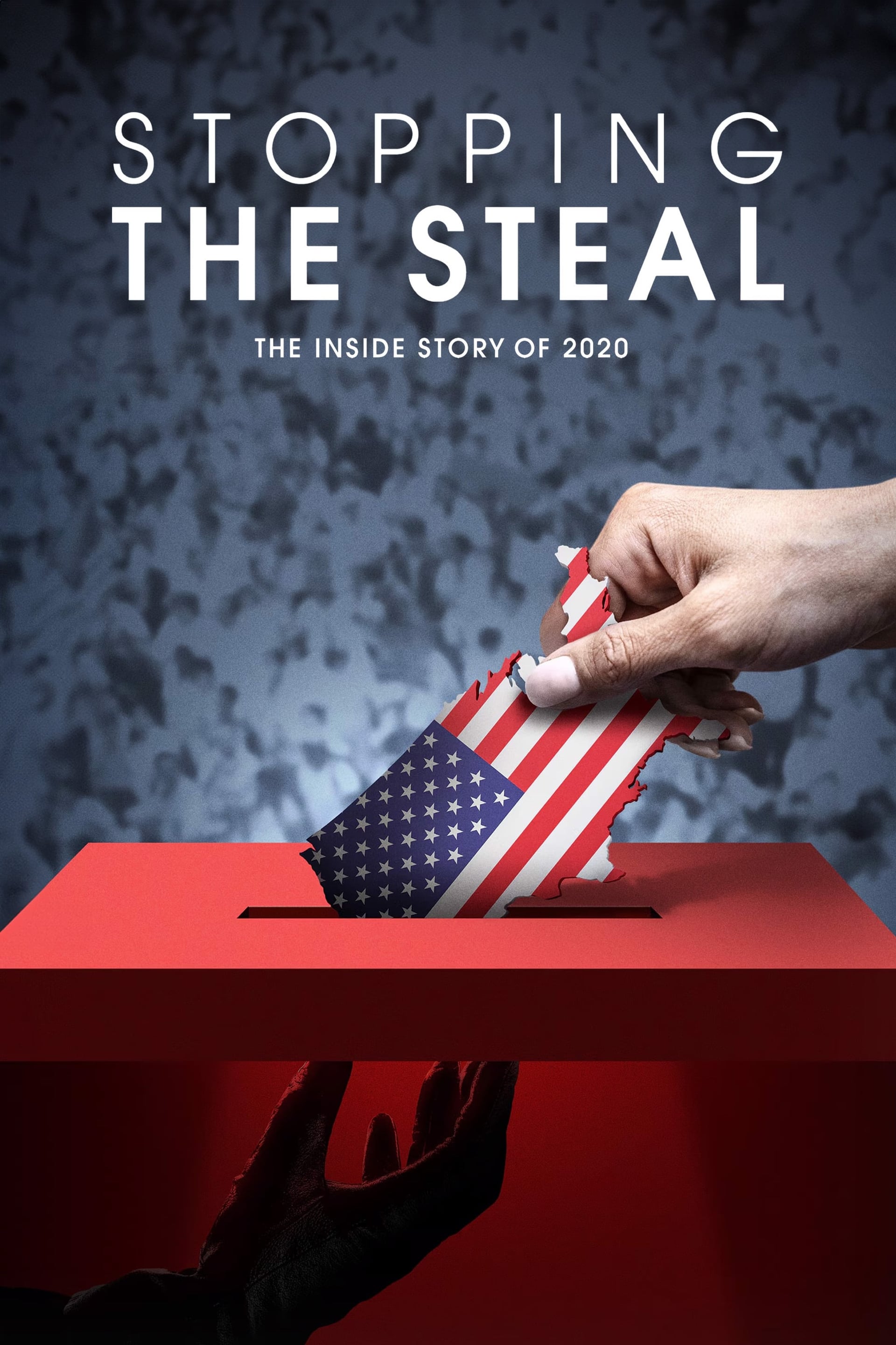 Stopping the Steal : Les derniers jours de Trump - Cover