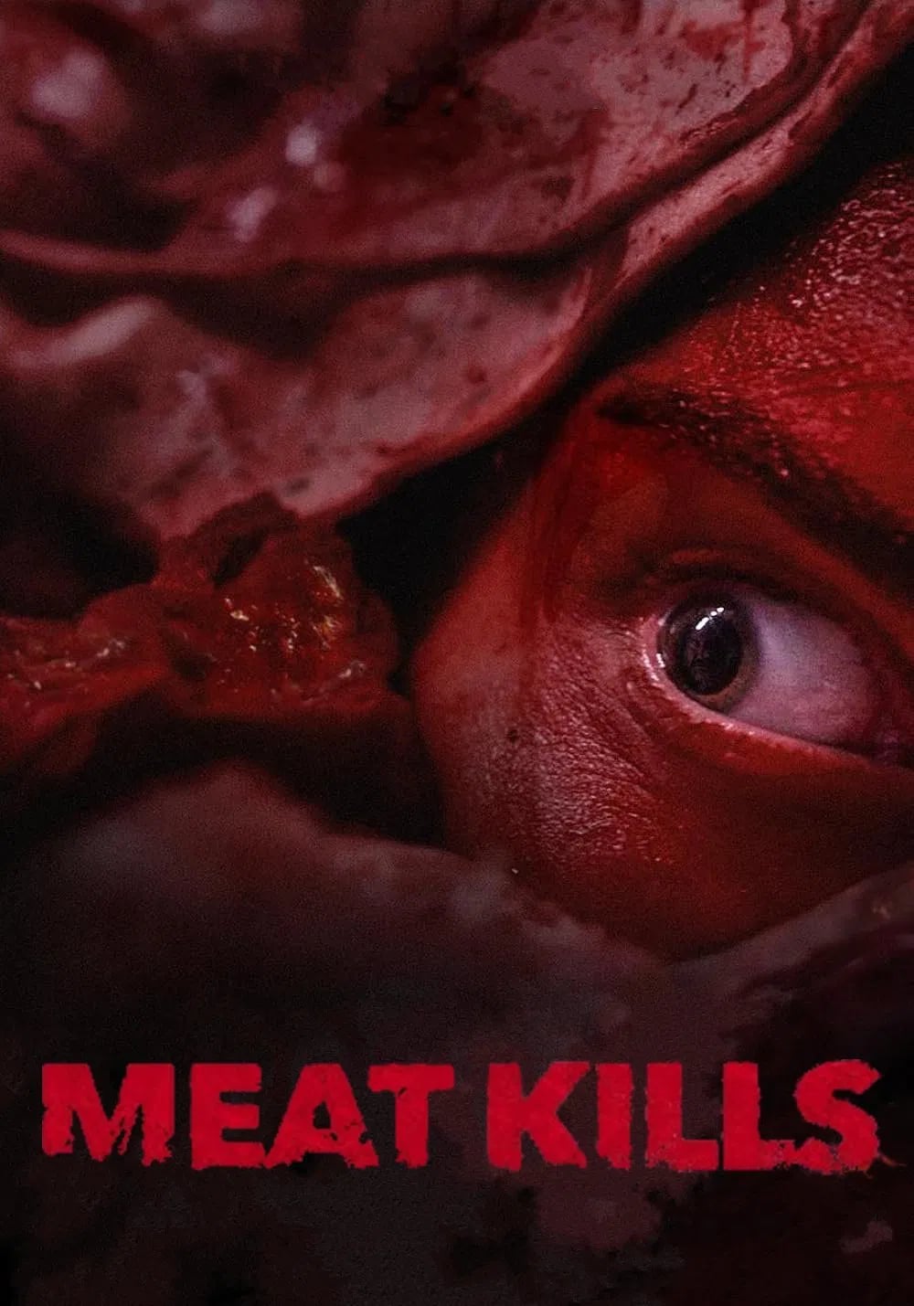 Meat Kills - Cover
