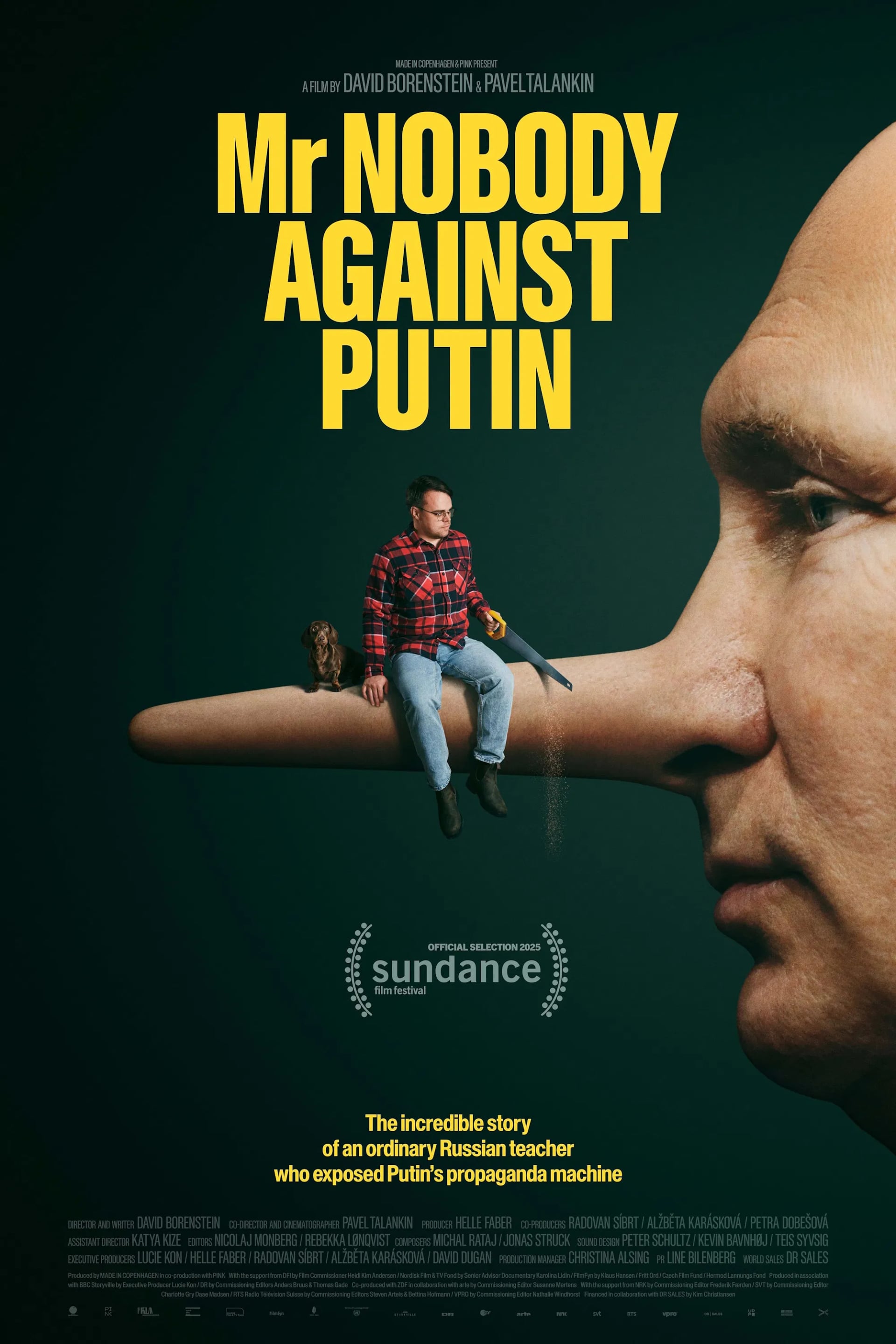 Mr. Nobody Against Putin - Cover