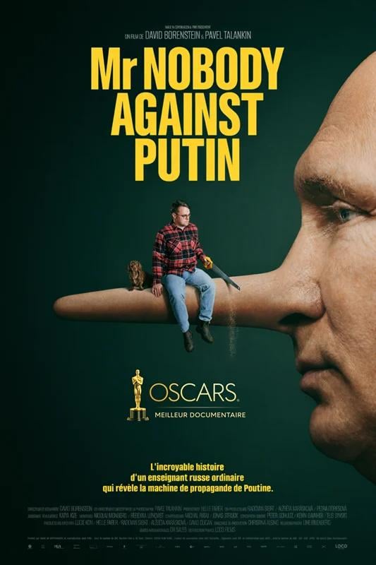 Mr. Nobody Against Putin - Cover