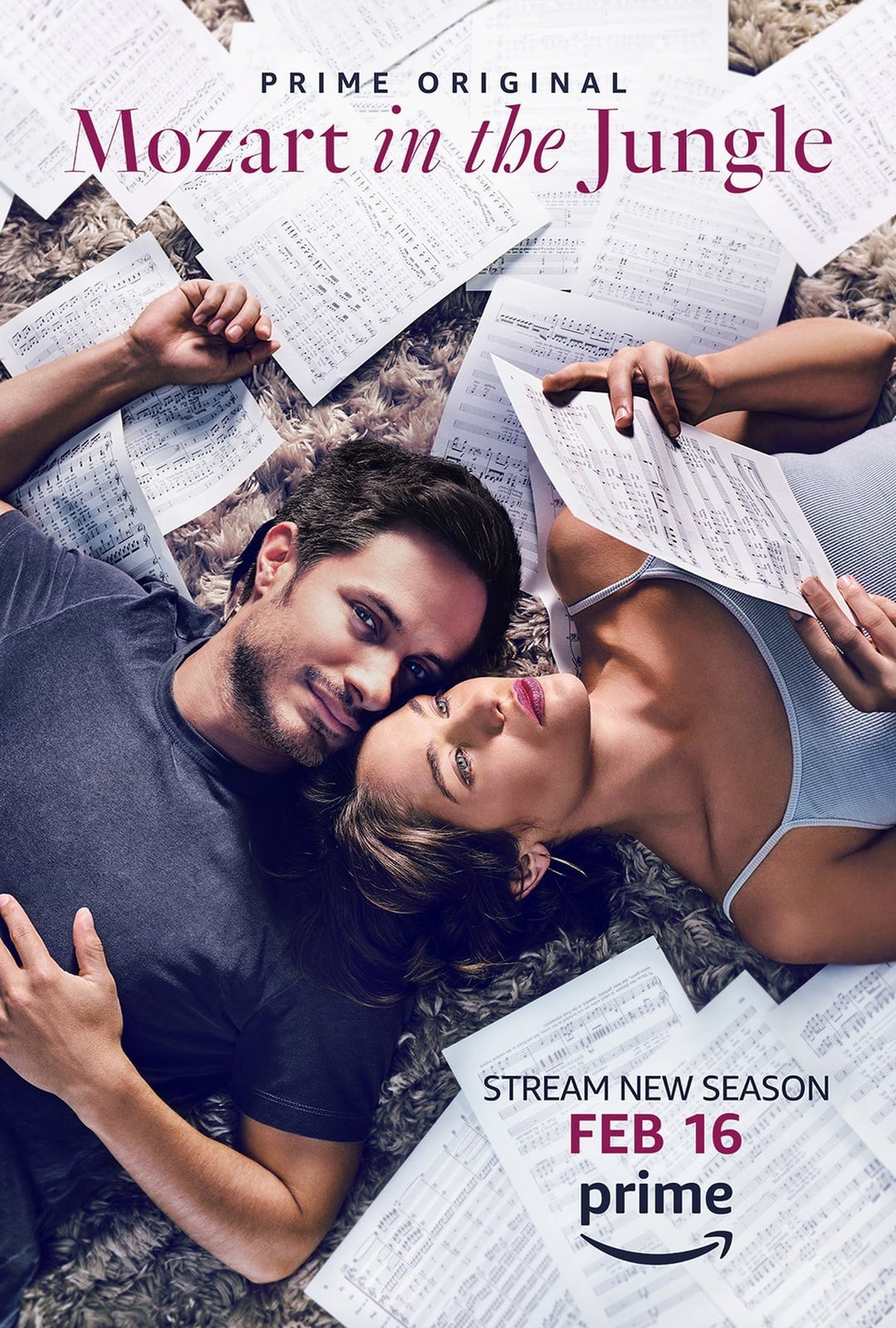 Mozart in the Jungle - Cover