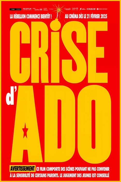 Crise d'ado - Cover