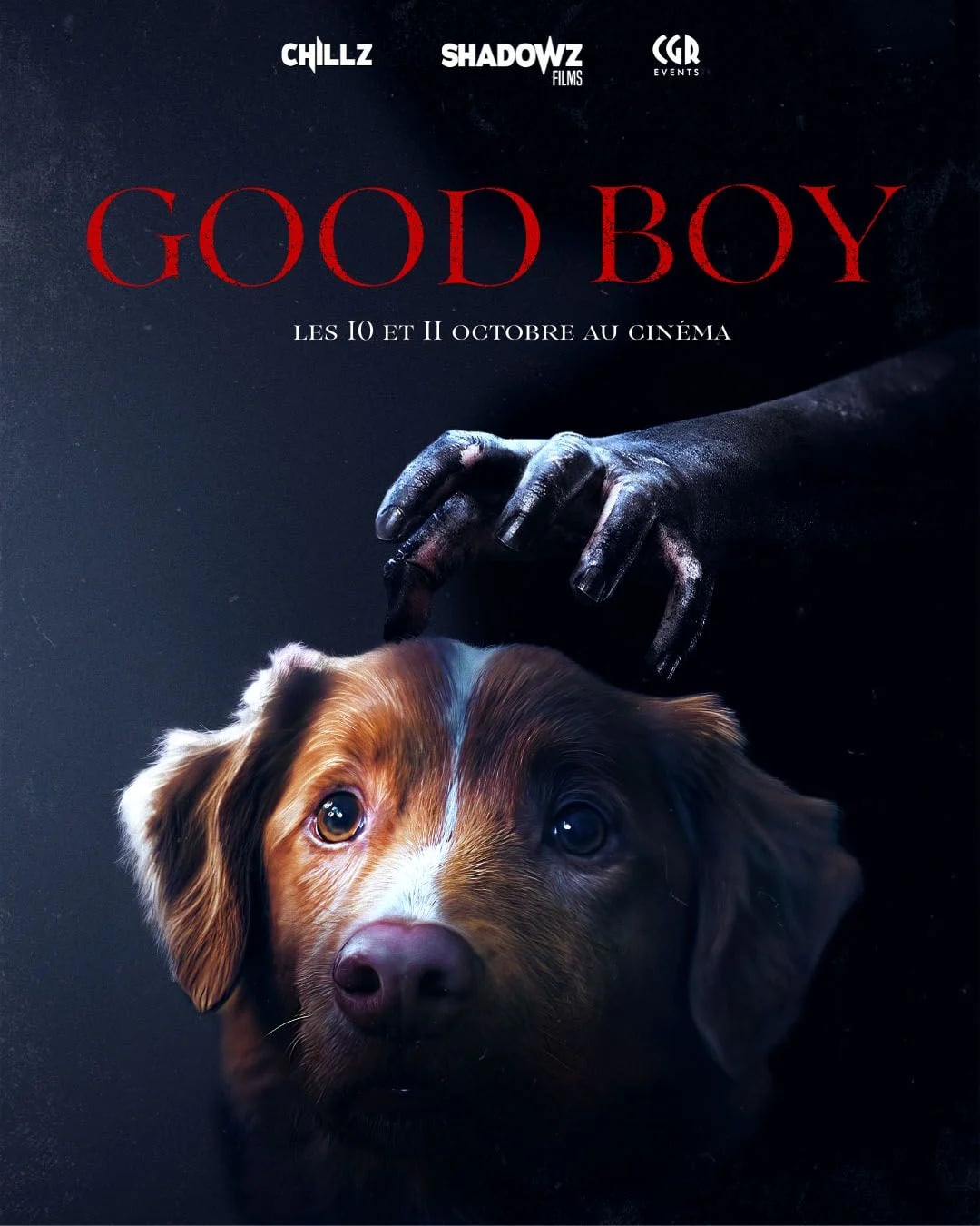 Good Boy - Cover