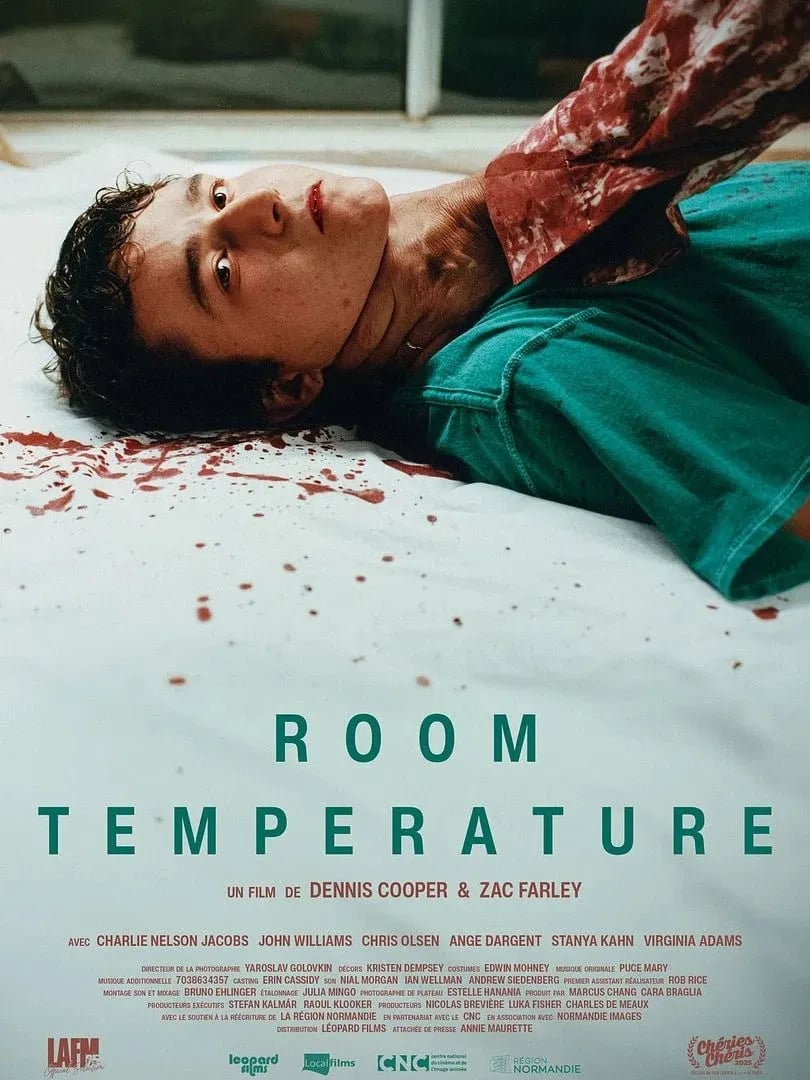 Room Temperature - Cover