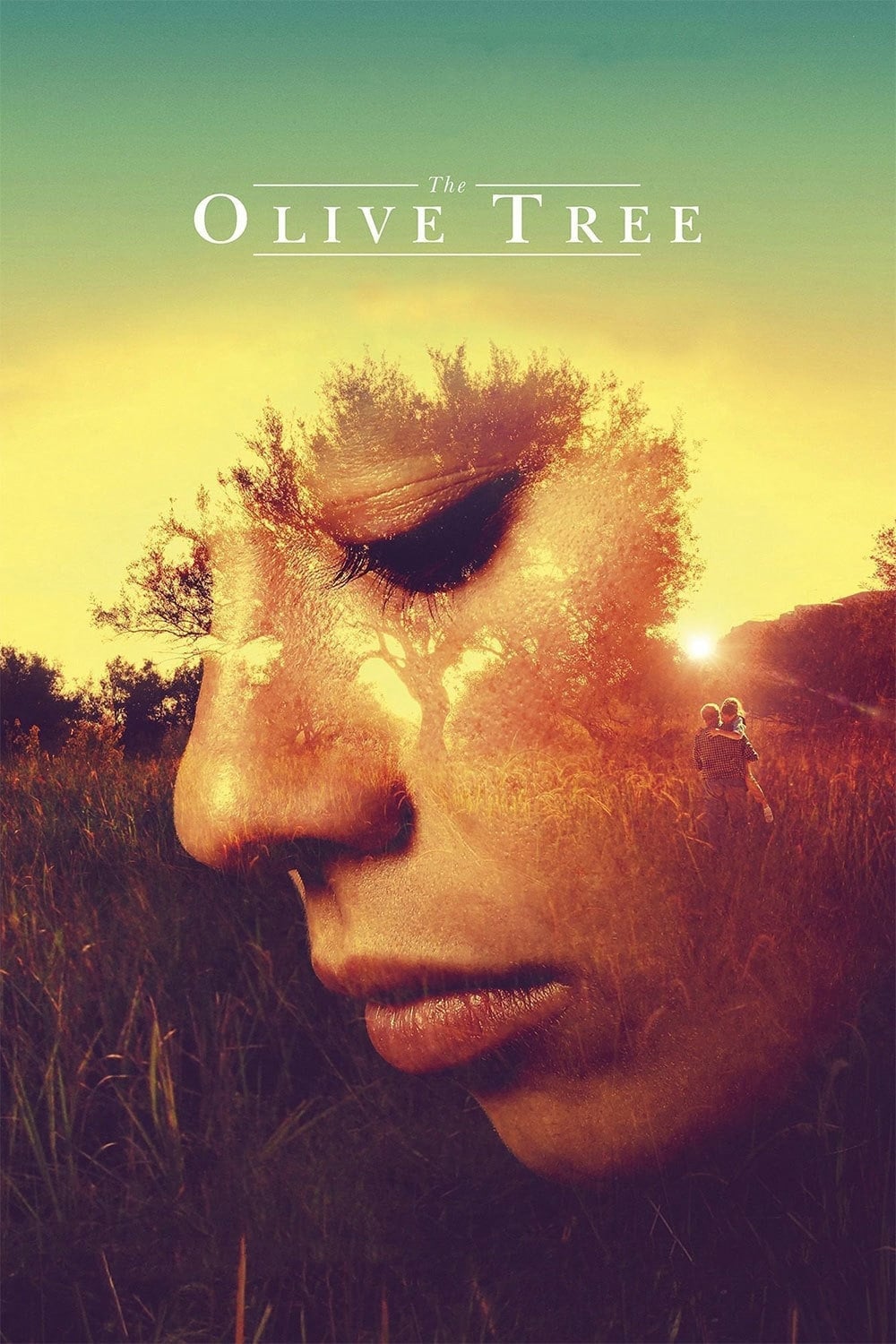 The Olive Tree - Cover