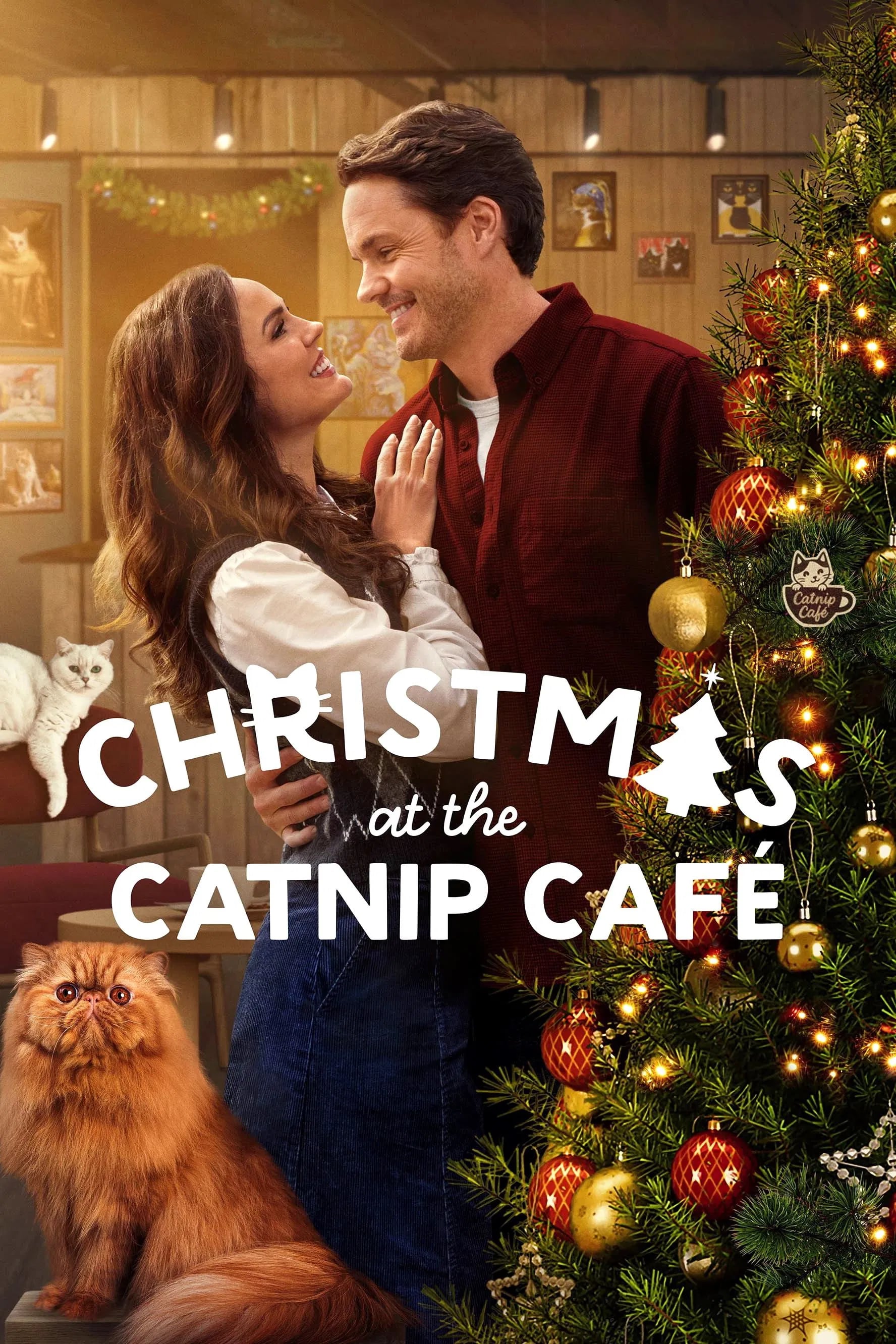 Christmas at the Catnip Café - Cover