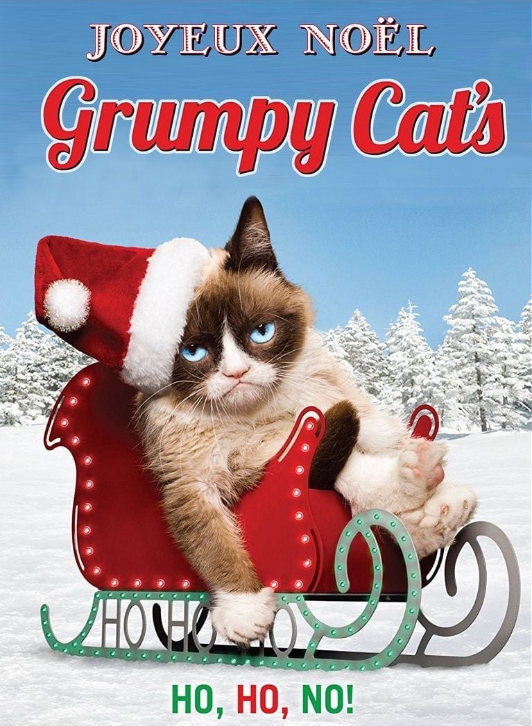 Joyeux Noël Grumpy Cat - Cover
