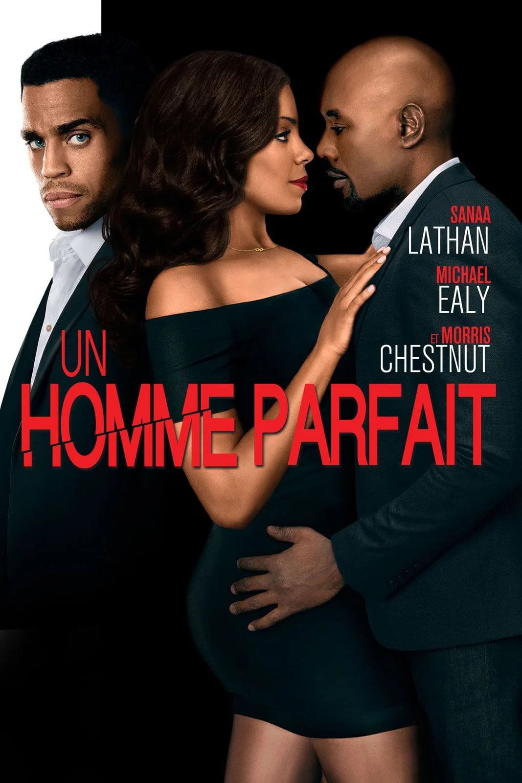 Un Homme Parfait - Cover