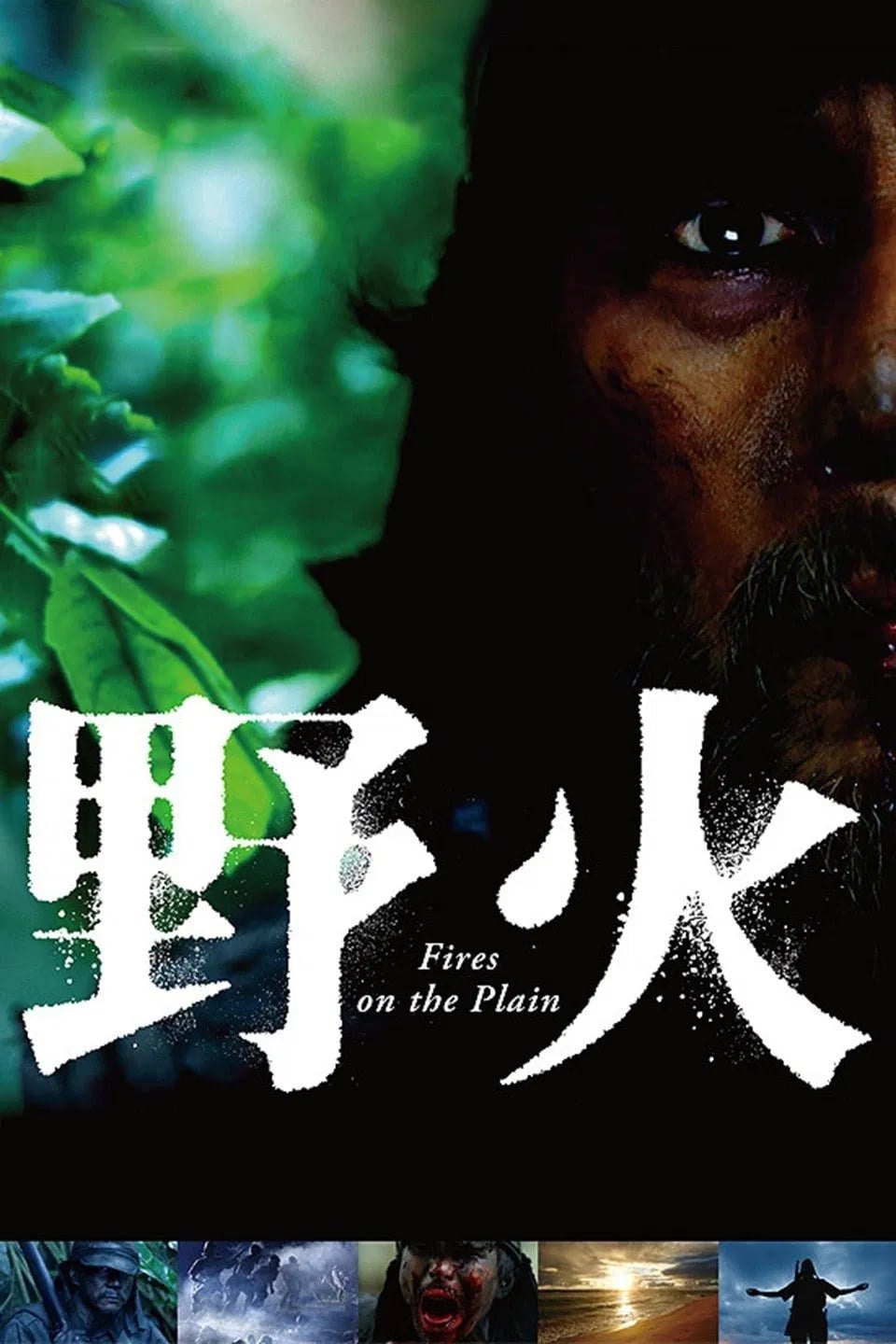 Fires on the Plain - Cover