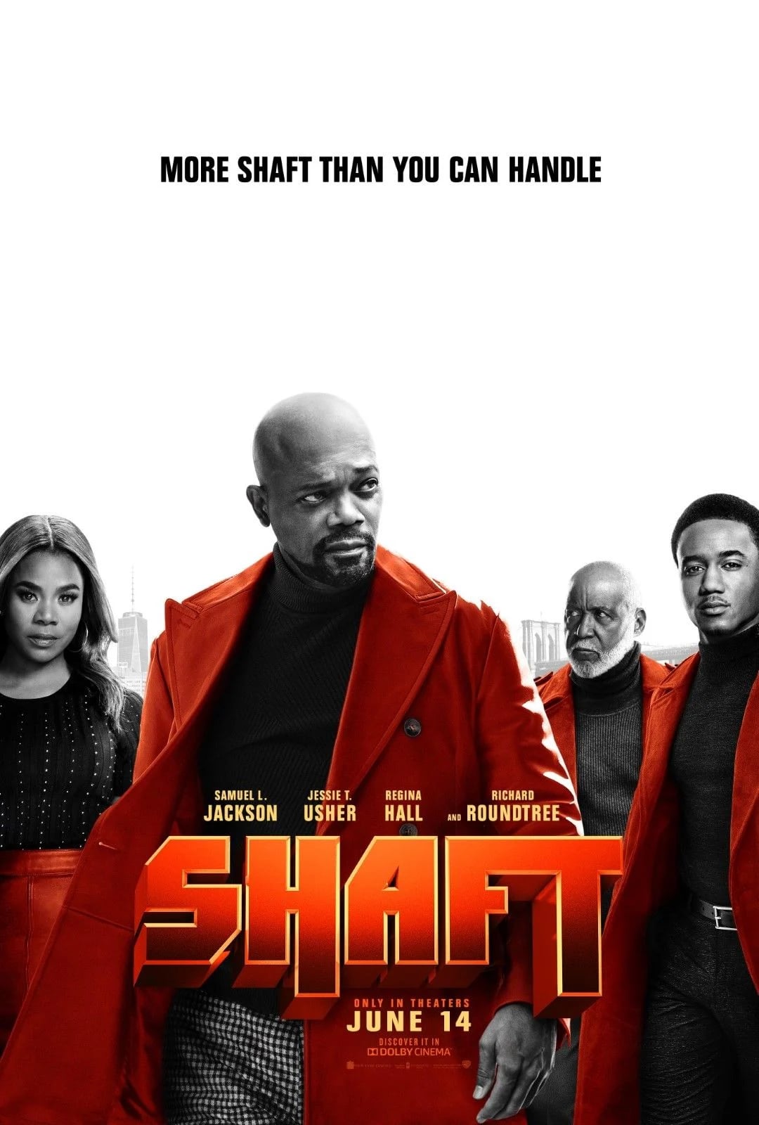 Shaft - Cover