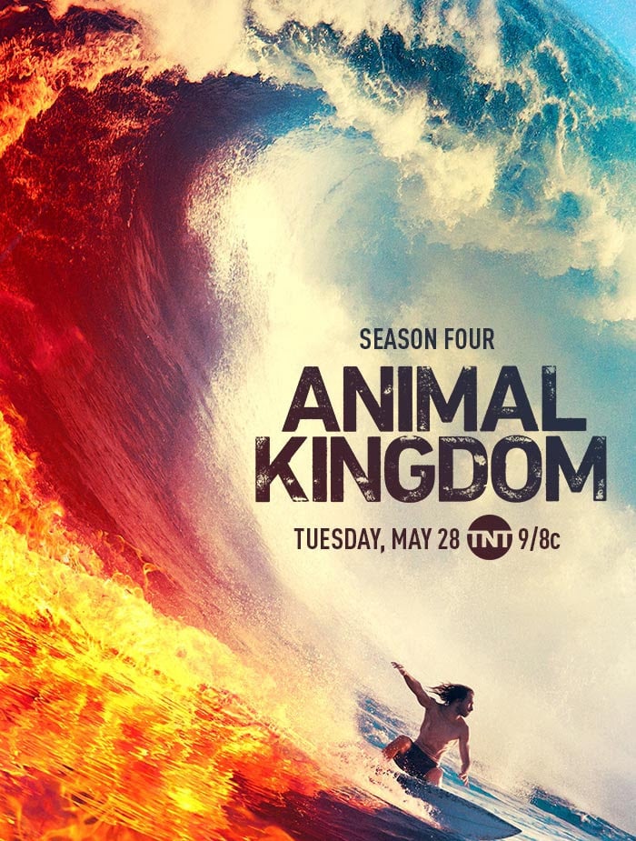 Animal Kingdom - Cover