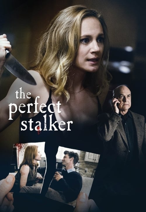 The Perfect Stalker - Cover