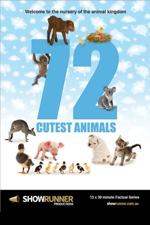 72 Animaux Mignons - Cover