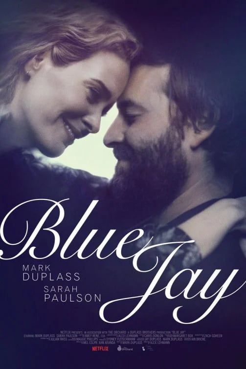 Blue Jay - Cover