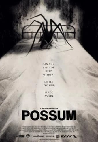 Possum - Cover