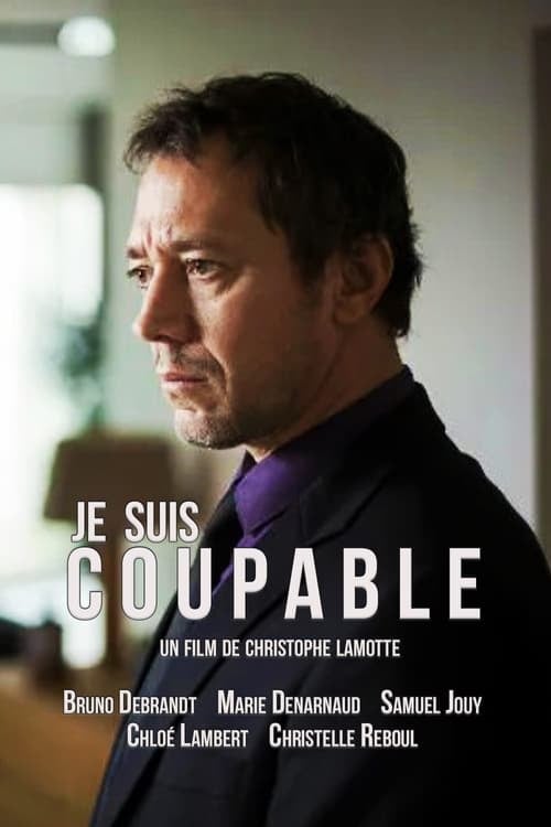 Je suis coupable - Cover