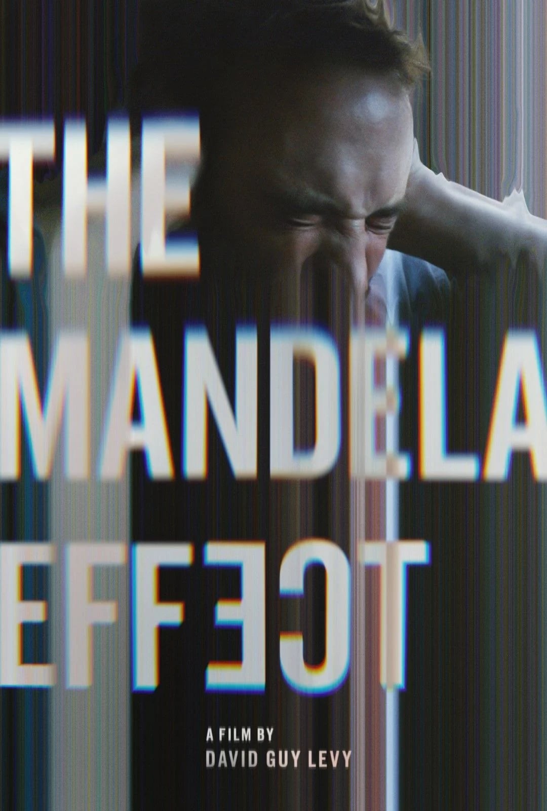 The Mandela Effect - Cover