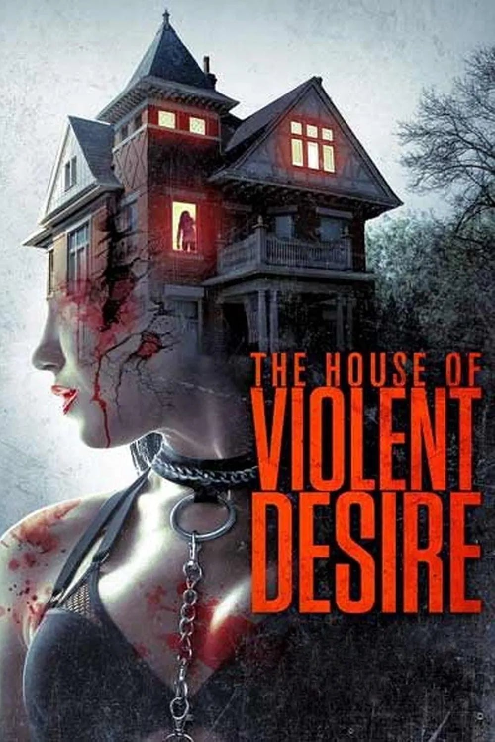 The House of Violent Desire - Cover