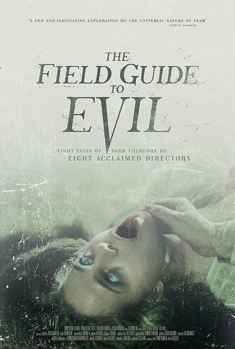 The Field Guide to Evil - Cover