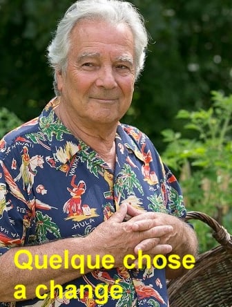 Quelque chose a changé - Cover