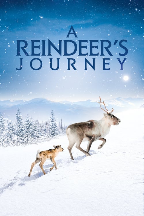 A Reindeer's Journey - Cover