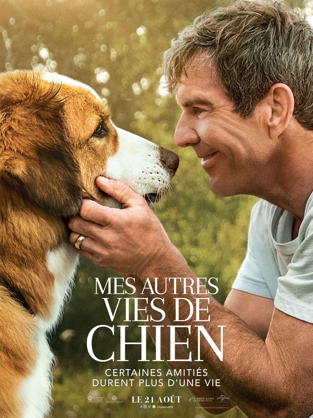 Mes autres vies de chien - Cover