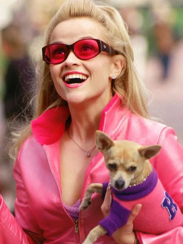 Legally Blonde 3 - Cover