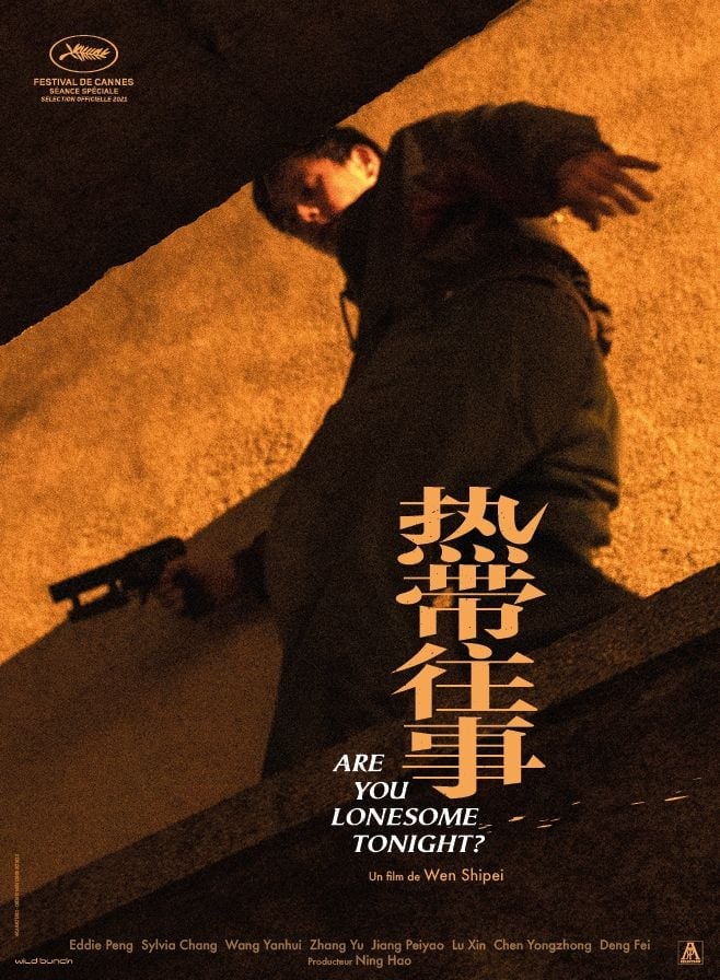 Are You Lonesome Tonight ? - Cover