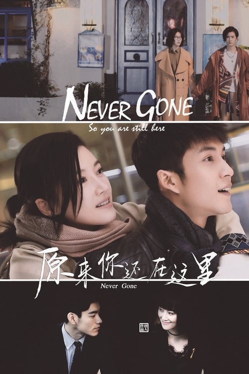 Never Gone - Cover