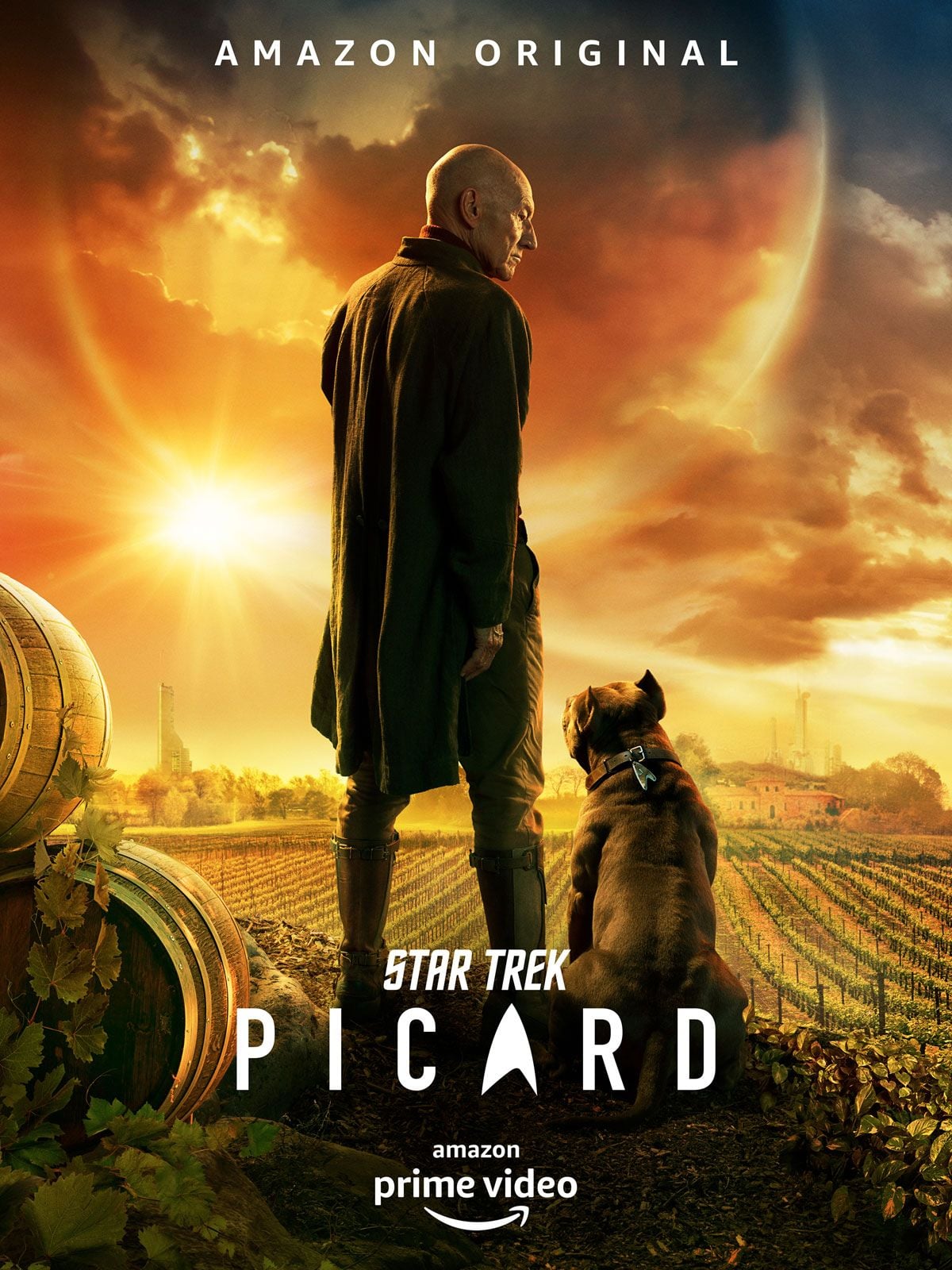 Star Trek: Picard - Cover
