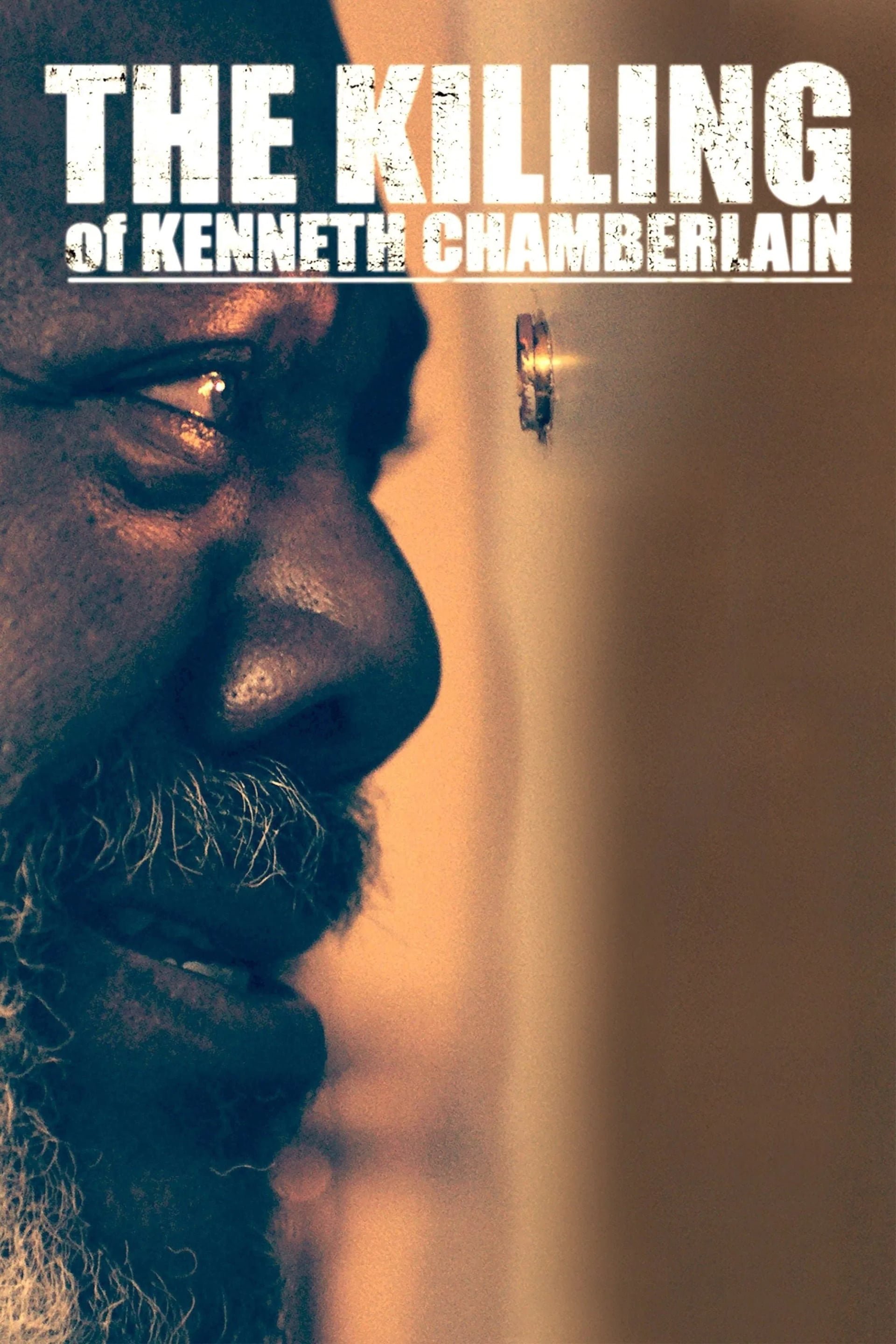 The Killing of Kenneth Chamberlain - Cover