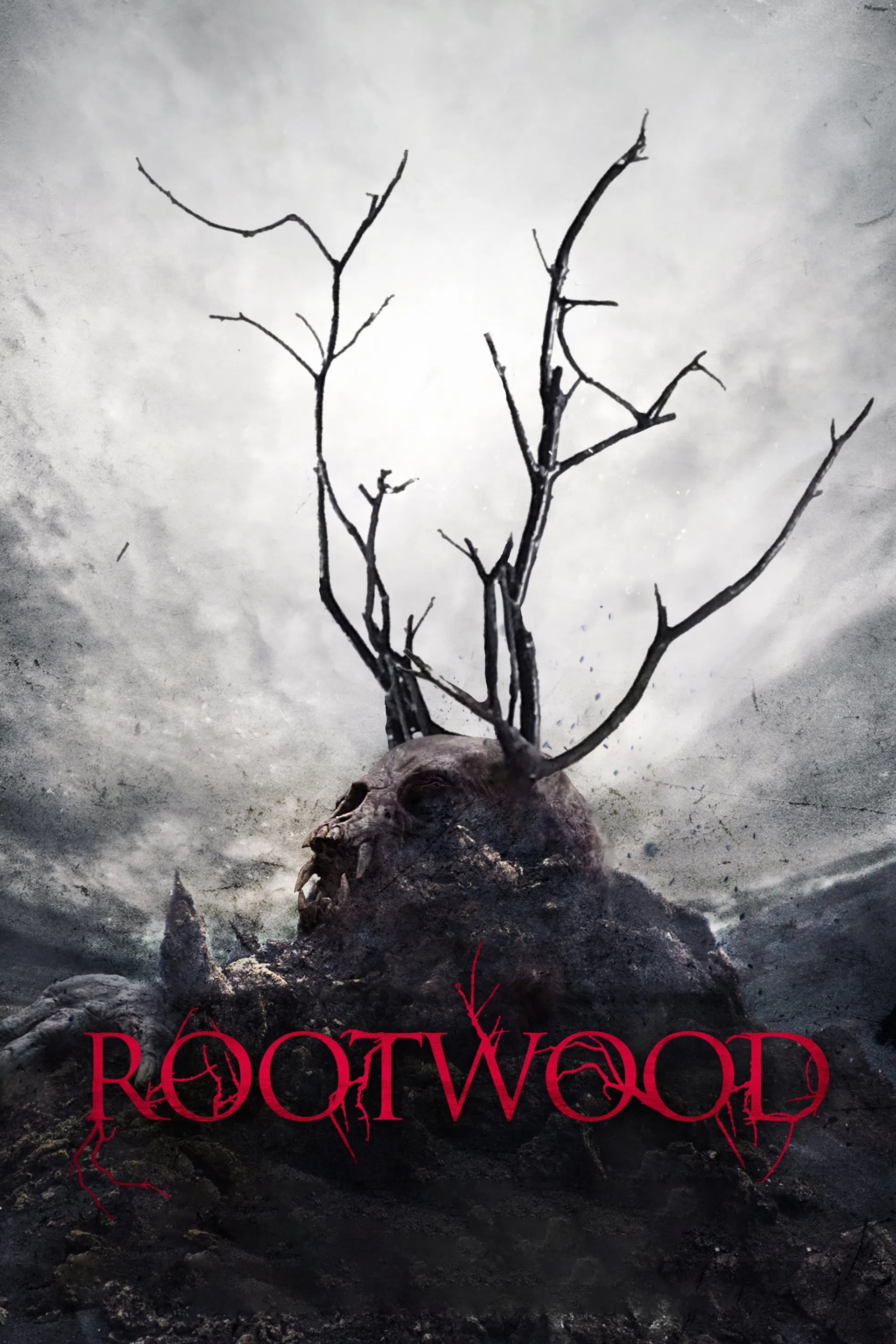 Rootwood - Cover
