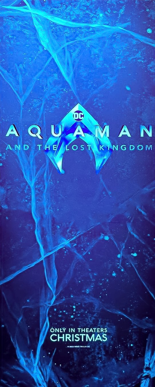 Aquaman and the Lost Kingdom - Cover