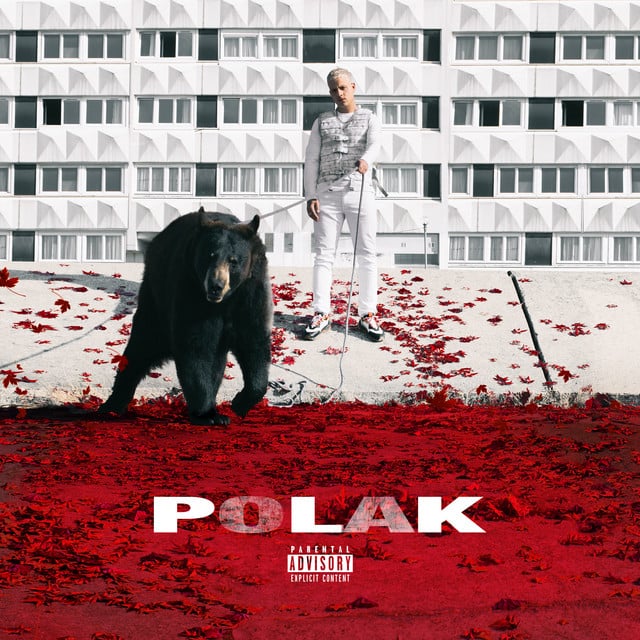 Polak - Cover