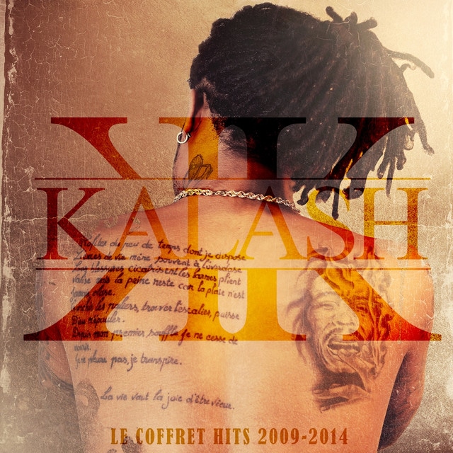 Le coffret hits 2009-2014