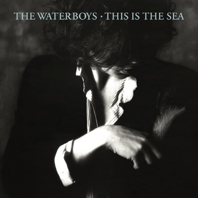This Is the Sea - 2004 Remaster
