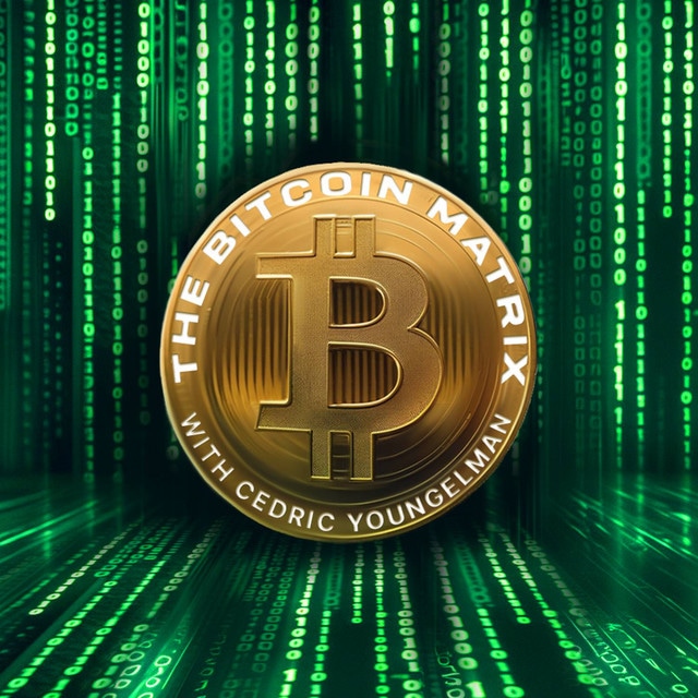 The Bitcoin Matrix