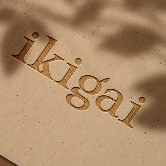 L'Éveil de votre Ikigaï - Jim Winter Podcast