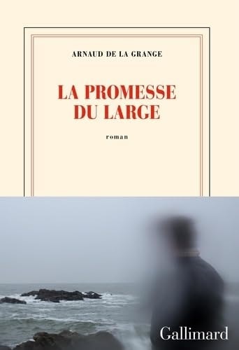 La promesse du large roman