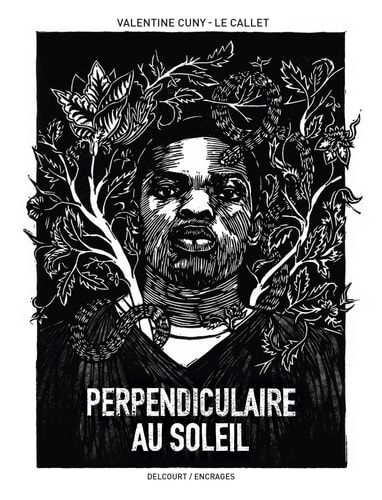 Perpendiculaire au soleil