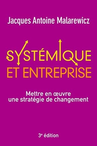 Systémique et entreprise Mettre en oeuvre une stratégie de changement