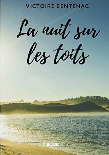 La nuit sur les toits